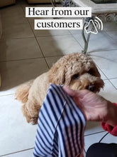 Stripe Squad Bandana