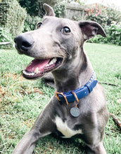 "Stripe Squad" City Collar