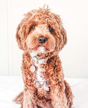 "Palm Vibes" City Collar